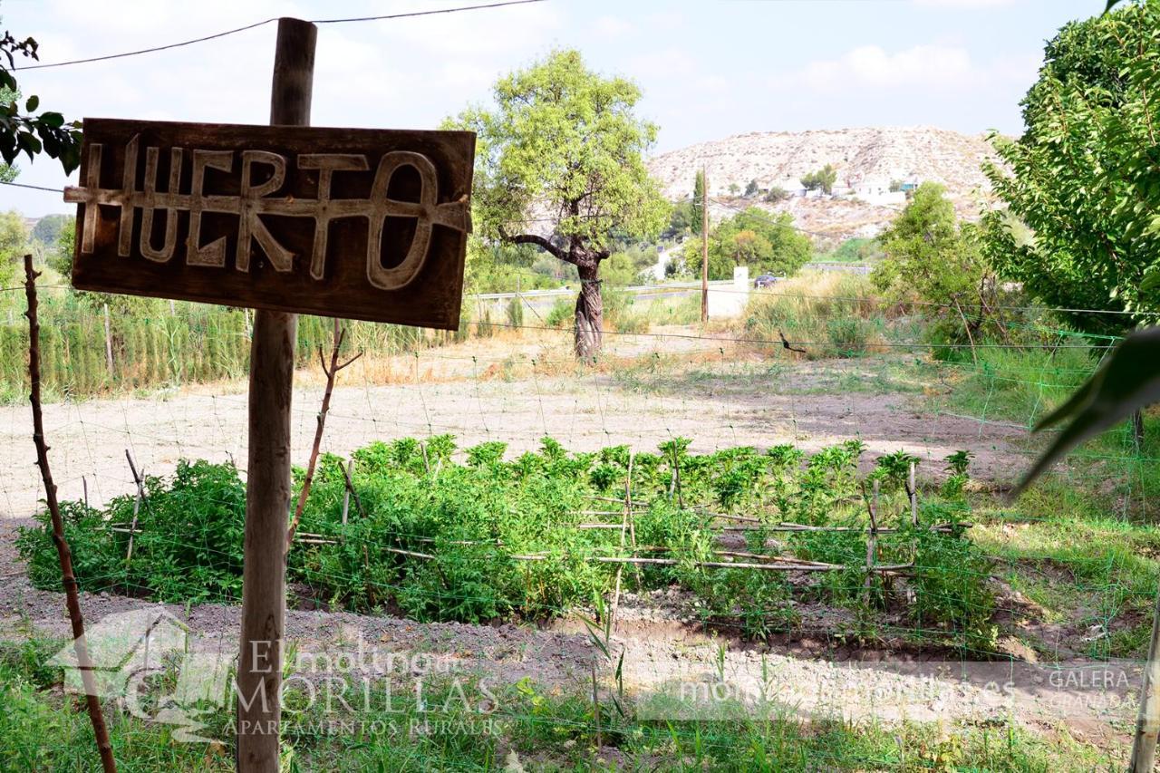 Apartamentos Rurales El Molino De Morillas Galera Eksteriør billede