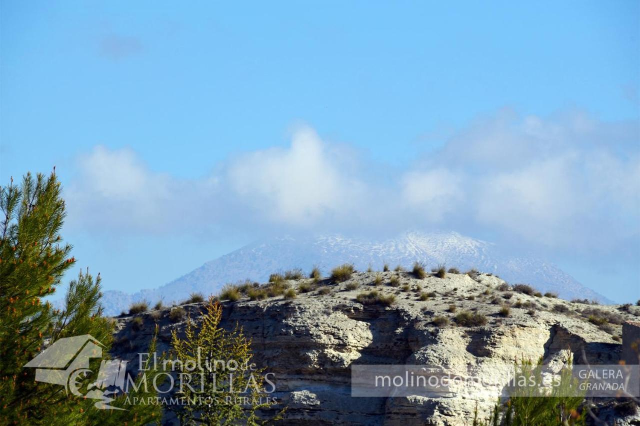 Apartamentos Rurales El Molino De Morillas Galera Eksteriør billede
